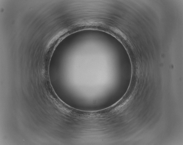 X0000076310922200610161615