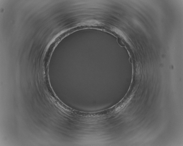 X0000076310923200610161615