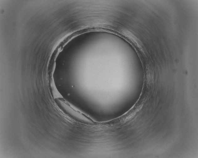 X0000076310924200610161615