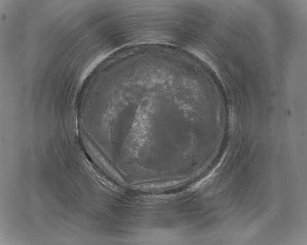 X0000076310925200610161615