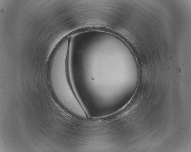 X0000076310926200610161615