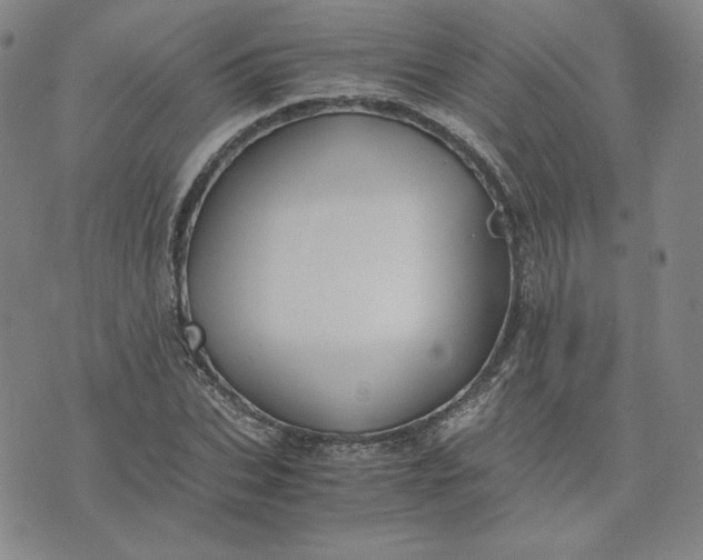 X0000076310927200610161615