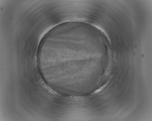 X0000076310928200610161615