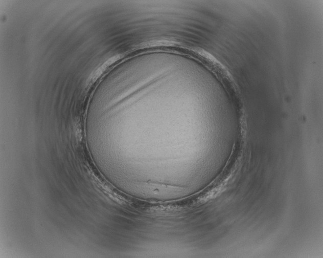 X0000076310929200610161615