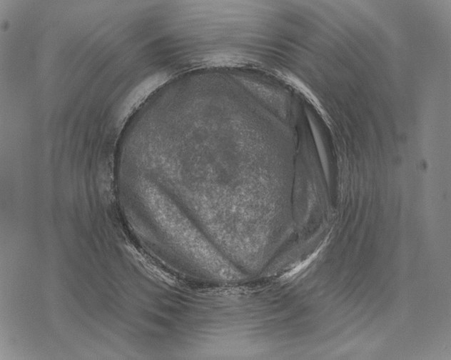 X0000076310930200610161615