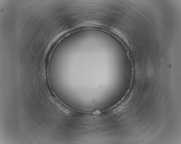 X0000076310931200610161615