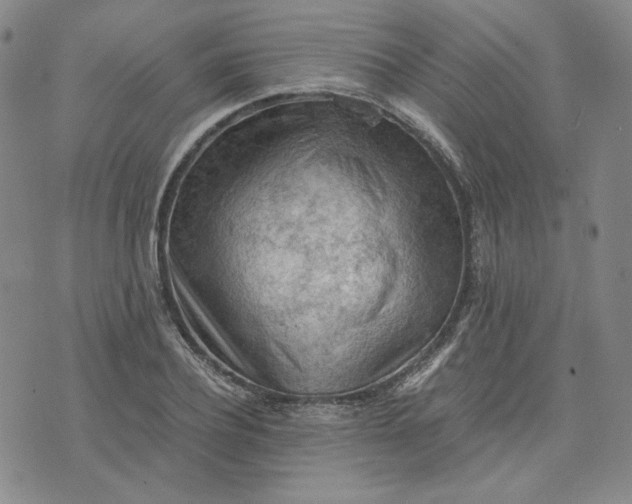 X0000076310932200610161615