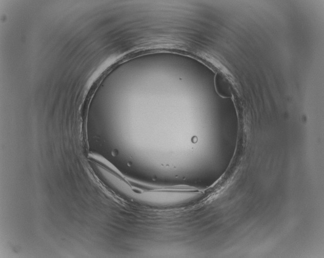 X0000076310933200610161615