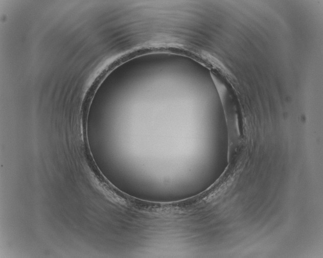 X0000076310934200610161615