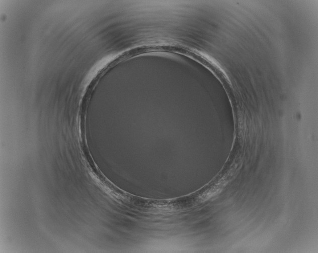 X0000076310935200610161615