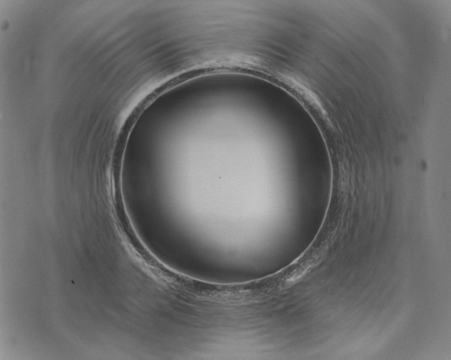 X0000076310936200610161615