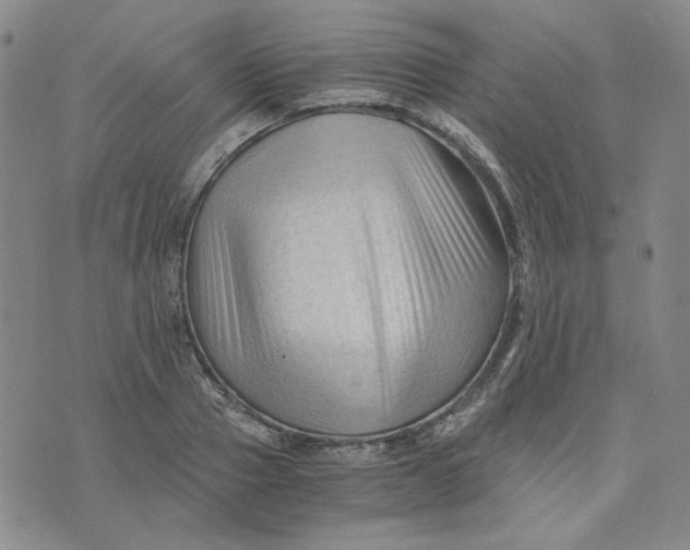 X0000076310937200610161615