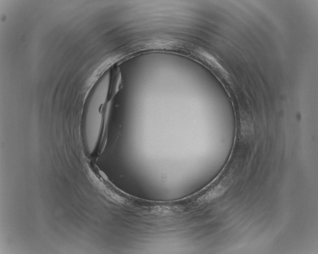 X0000076310938200610161615