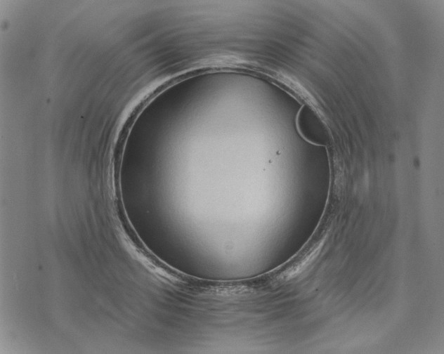 X0000076310939200610161615