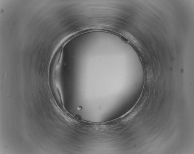 X0000076310940200610161615