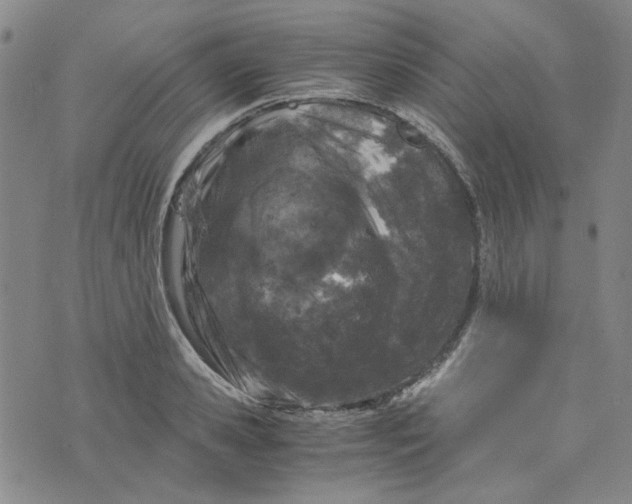 X0000076310941200610161615