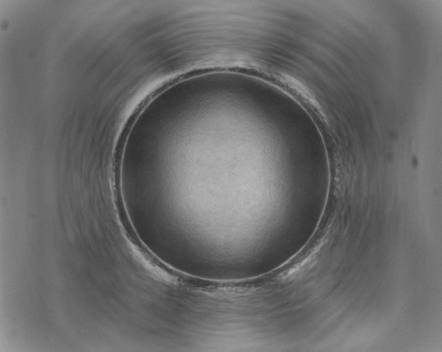 X0000076310942200610161615