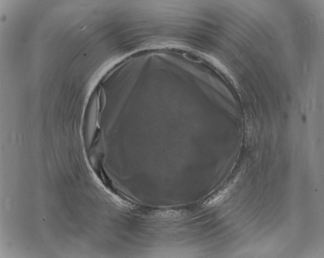 X0000076310943200610161615