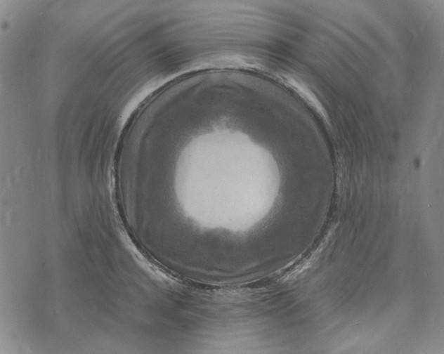 X0000076310944200610161615