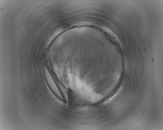 X0000076310945200610161615