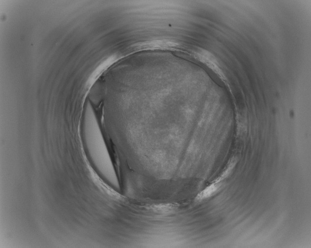 X0000076310946200610161615