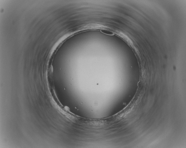 X0000076310947200610161615