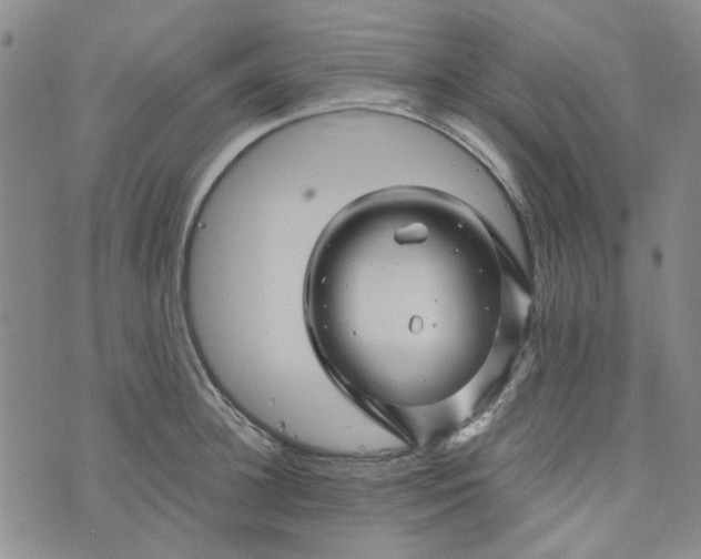 X0000076310948200610161615