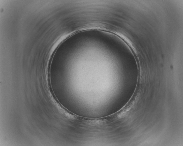 X0000076310949200610161615