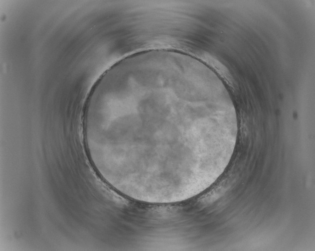 X0000076310950200610161615