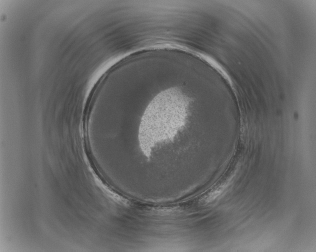 X0000076310951200610161615