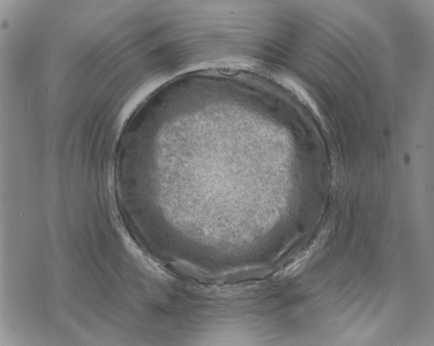 X0000076310952200610161615