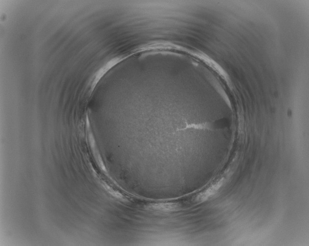 X0000076310953200610161615