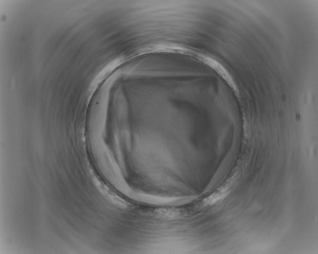 X0000076310954200610161615