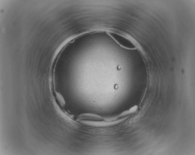 X0000076310955200610161615