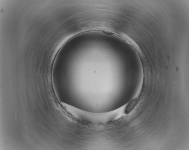 X0000076310956200610161615