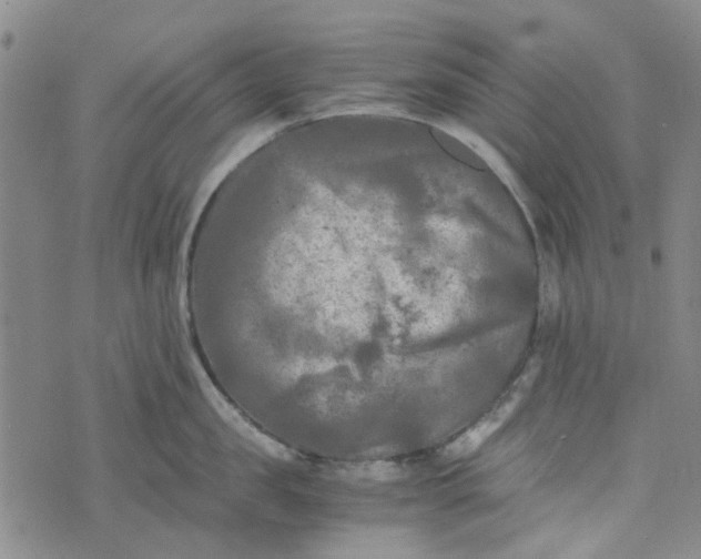 X0000076310957200610161615