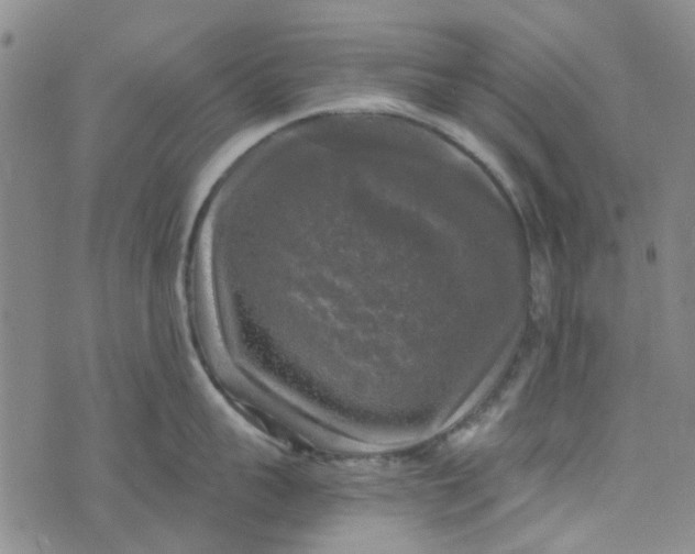 X0000076310959200610161615