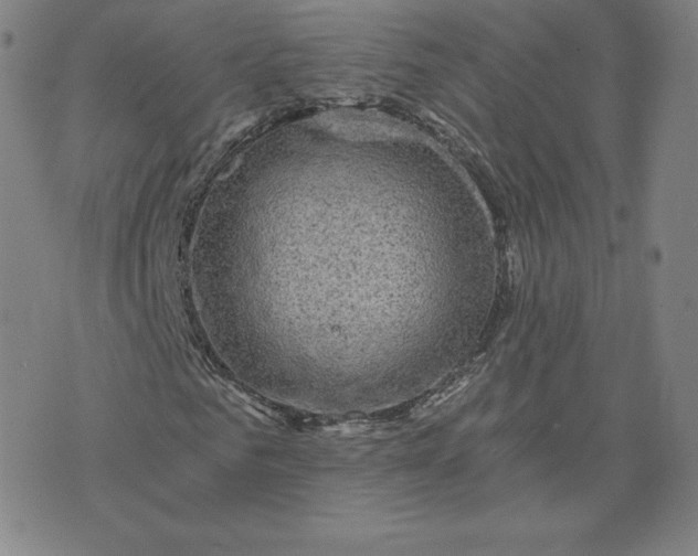 X0000076310961200610161615