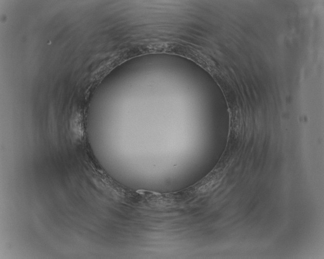 X0000076310962200610161615