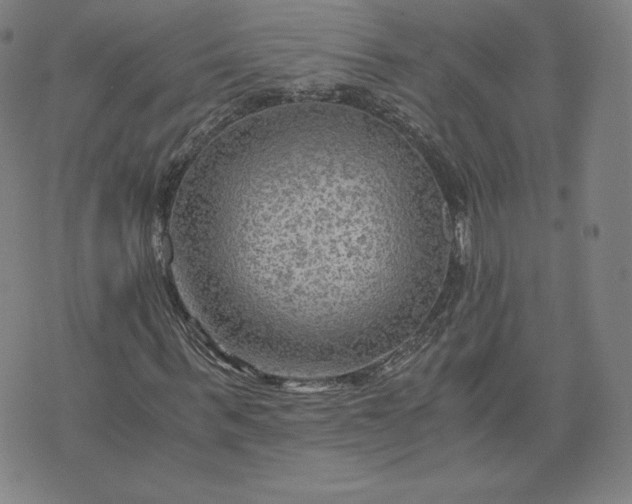 X0000076310963200610161615