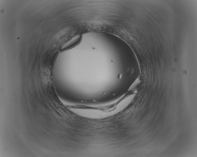 X0000076310964200610161615