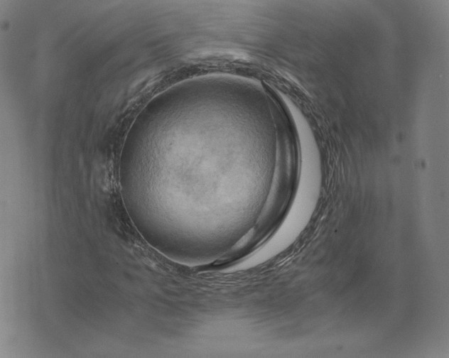 X0000076310965200610161615