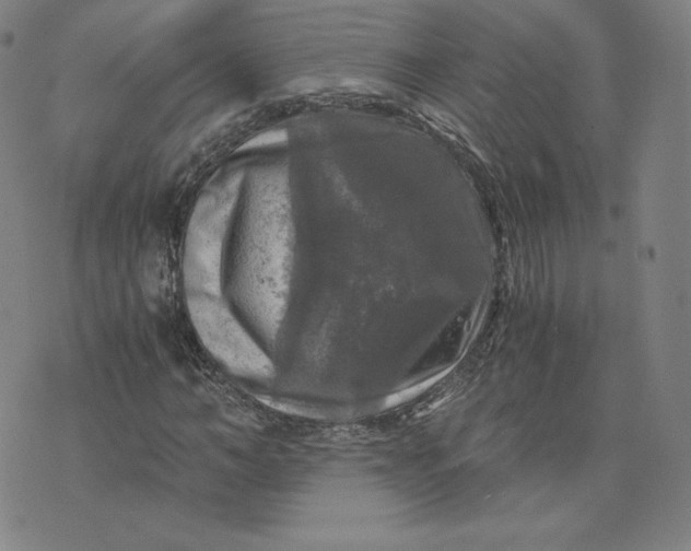 X0000076310966200610161615