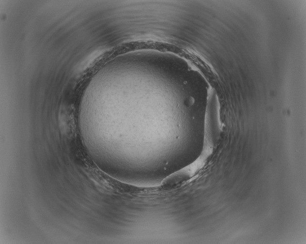 X0000076310968200610161615