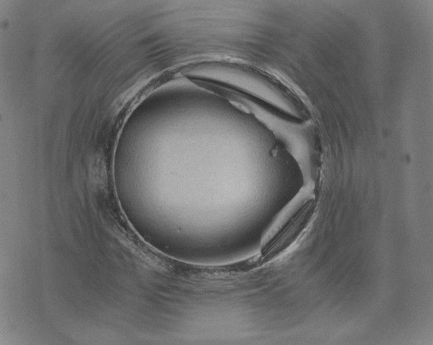 X0000076310969200610161614