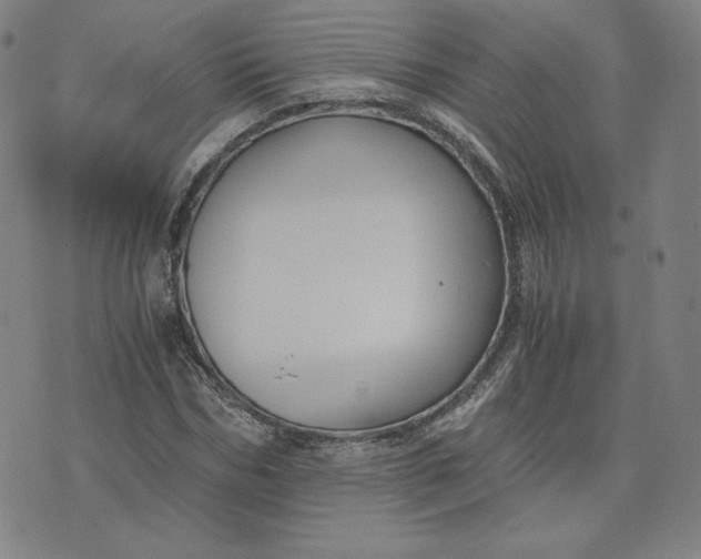 X0000076310970200610161614