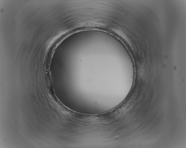 X0000076310971200610161614