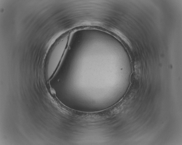 X0000076310972200610161614