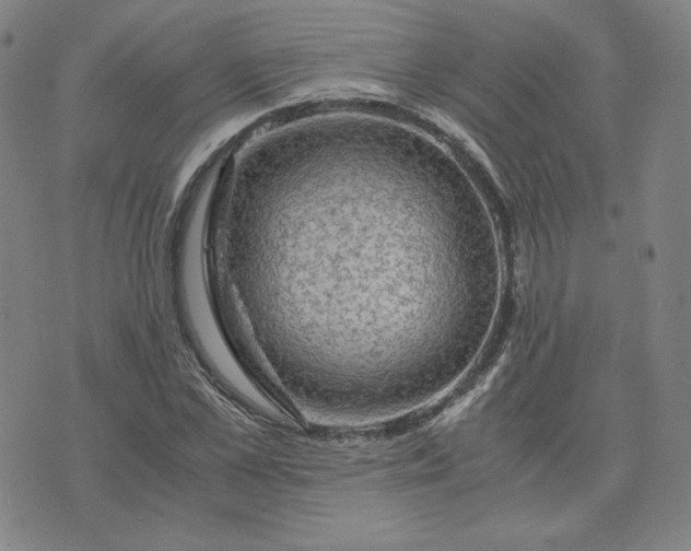 X0000076310973200610161614