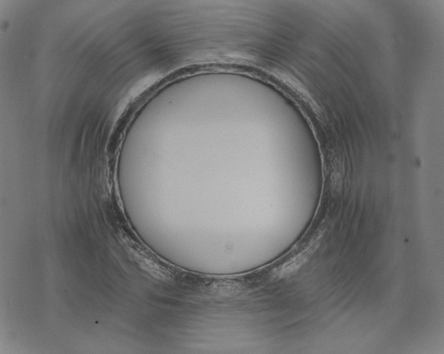 X0000076310974200610161614